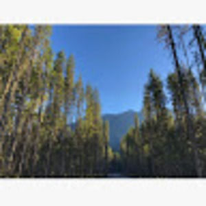 Meet your Posher, Sienna